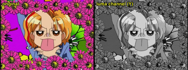 YUV: Orignal Image and Luma Channel