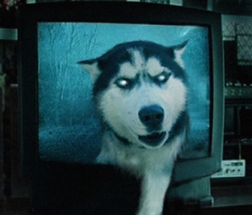 0okami