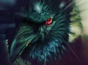 Akarakiji