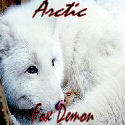 ArcticFoxDemon