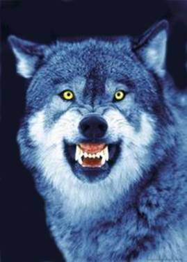 Bloodmoonwolf