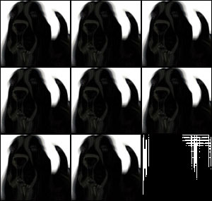 FYS