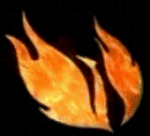 Quantus347