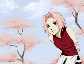 SakuraCHan91
