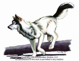 SheWolf