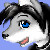 SilverFurredKage