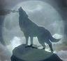 Wolfysan