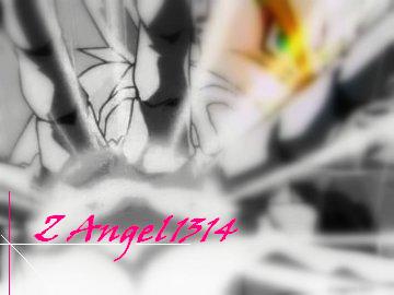 ZAngel1314