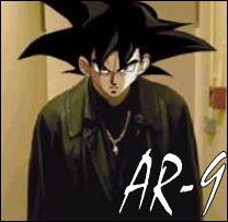 ar91207