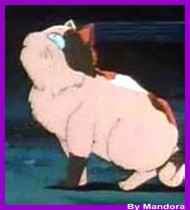 buyo_fat_cat17