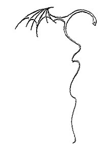 byroniceye