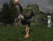 diatryma