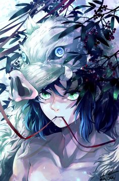 kitaamv