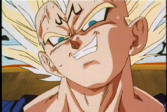 majinvegeta27