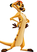 timon1.9