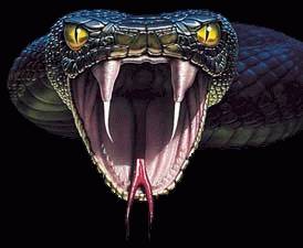 viperfangs
