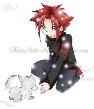 wolfcatcher